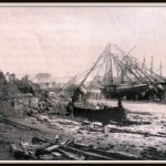 Castle beach 1865 s